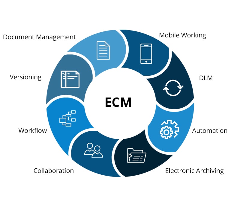 What does an ECM software do? bitfarm-Archiv